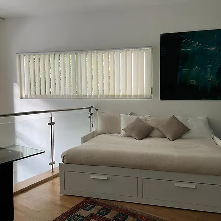 Apartment Luxury Duplex With Rooftop, View Of Cathedral Lausanne