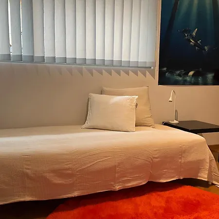 아파트 Luxury Duplex With Rooftop, View Of Cathedral 로잔