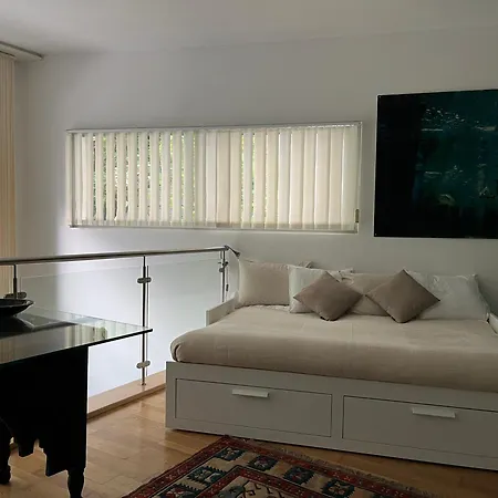 Luxury Duplex With Rooftop, View Of Cathedral 아파트 *