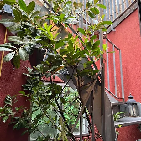아파트 Luxury Duplex With Rooftop, View Of Cathedral