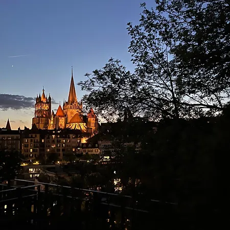Apartment Luxury Duplex With Rooftop, View Of Cathedral Lausanne