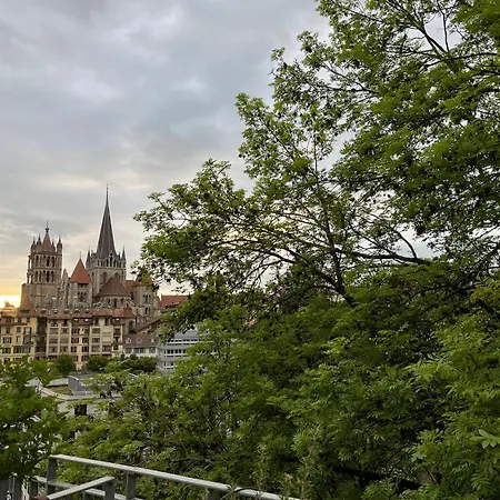 아파트 Luxury Duplex With Rooftop, View Of Cathedral *