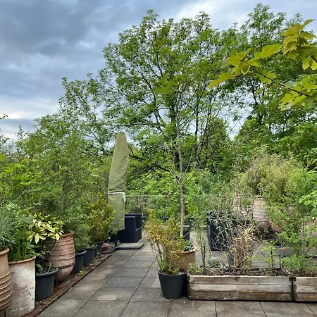 Luxury Duplex With Rooftop, View Of Cathedral